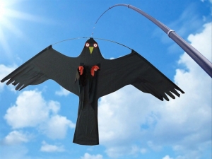 Fågelskrämma Drake med mast