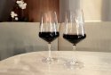 Rödvinsglas 57cl 2-Pack Savoy