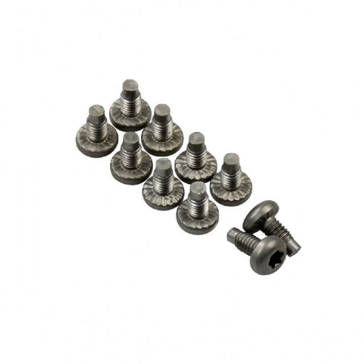 Bult, fäste brännare, 10-pack i gruppen Husbil & Husvagn / Kylskåp / Reservdelar Dometic / Dörr/skåp hos Camping 4U (295246164)