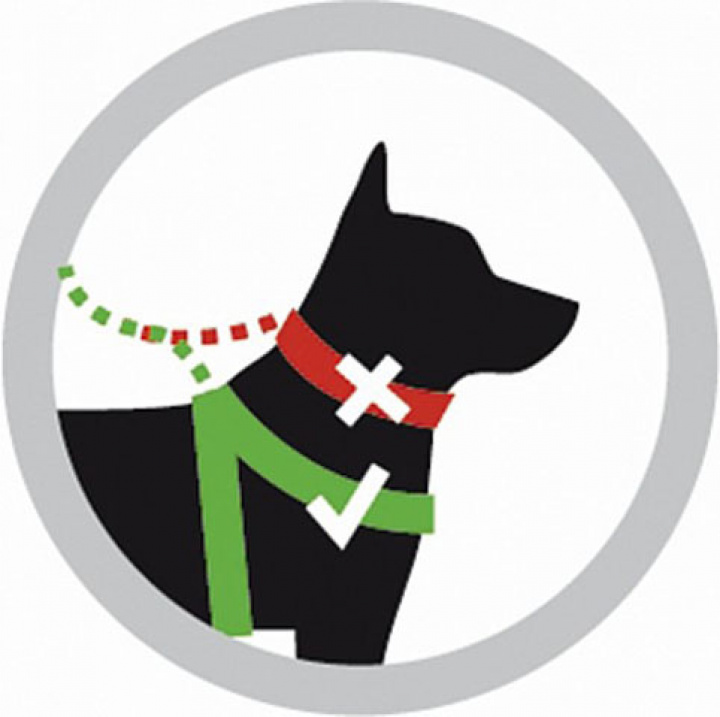 Bil-säkerhetsbälte Kura 25 mm i gruppen Campingtillbehör / Husdjur hos Camping 4U (9955651)