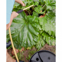 Ejektortank 50L Separett