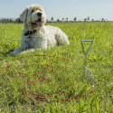 Markskruv för hund med kabel 4,5m