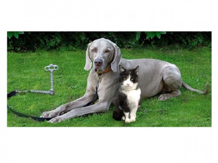 Jordankare för husdjur