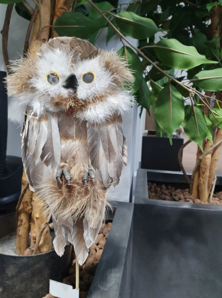 Ugglan Rugguggla på pinne i gruppen Campingtillbehör / Presentartiklar / Presenter hos Camping 4U (MRP-1596-70)