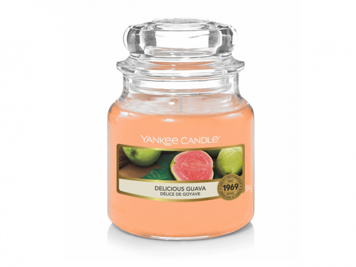 Doftljus Yankee Candle Classic Small - Delicious Guava i gruppen Campingtillbehör / Presentartiklar / Doftljus, bildoft, doftpinnar hos Camping 4U (YC-1533693E)